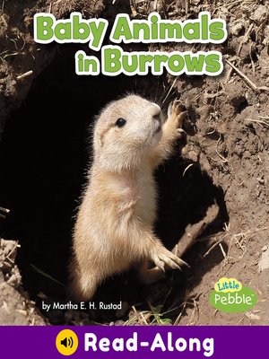 cover image of Baby Animals in Burrows